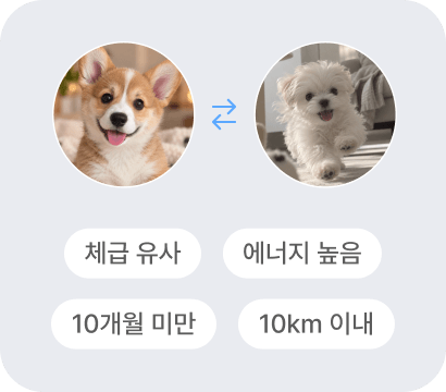 체급과 활동 수준 매칭